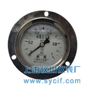 <b>不銹鋼軸向帶前邊耐震壓力表</b>|YN-60ZT