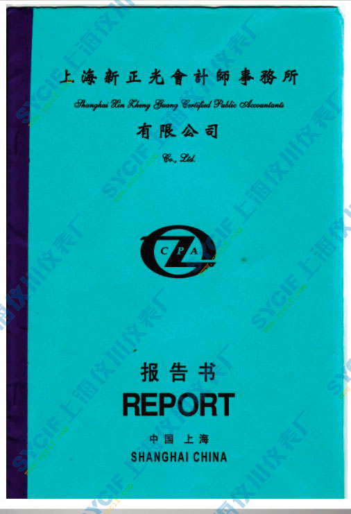 上海儀川儀表廠上海新正光會計師務所